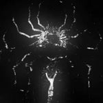 von bass bass bass boost