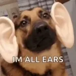 ears r cooked