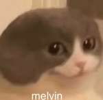 Blunko Your changing