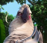 Blue label de Johnnie Walker