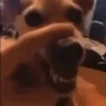 La La La Dog - Sound