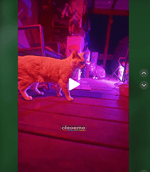 this is the location