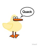 Quack