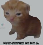 Nooo, dont turn me into a...