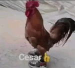 SKILL TIPO S - TORMENTA GÉLIDA