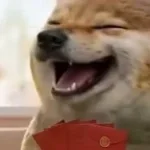 What the dog doin