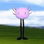 can i be your friend? kinitopet