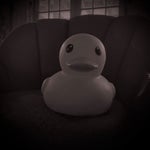 B3 Annotated horror begins to sink into