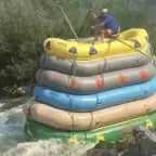 Man on the lakers acapella