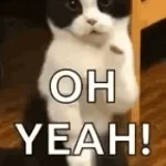 owh yeah