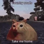 Take Me Home, Country Roads