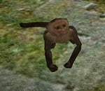 I Have A Very Fine Monkey