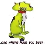 WHERE HAVE YOU BEEEEN