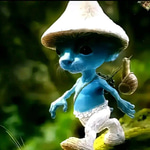 Smurf Cat