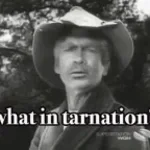 Quandale dingle - what in tarntions?