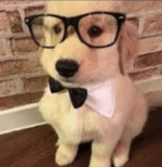 Put Your Head On My Shoulder ! Remix ! English song - Sound