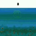 cries from within scream