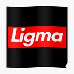 whopper whopper earrape