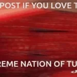 turkish rage 1
