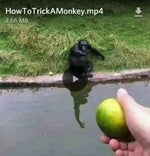 Doors' Screecher's Psst