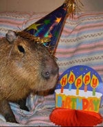 AWP Shot Sound Effect CS GO