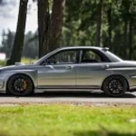 You Can Ask The Flowers