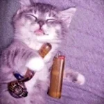 SNOW STRIPPERS - UNDER YOUR SPELL (Lyrics) (mp3cut.net)