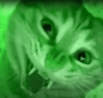 the creature feature