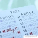 Recording 11/10/25 14:56:45