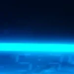 this is a forest creature