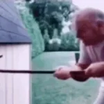 toontrap layer CHASE