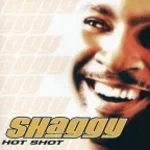 Angel - Shaggy - Ft Rayvon