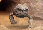 geodude