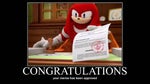 Knuckles it's now illegal