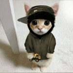 maneaua otelului galati (manele tech)