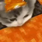 Sip Sip Sip...
