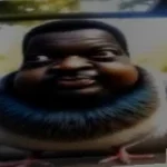 goofy ahh what the shimpmunks doin