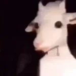 i was lightning before the thunder