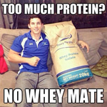 High Protein