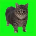 Die for you(valorant)