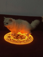 Devil's White Trash Washing Machine