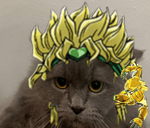 dio muda