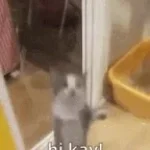 Recording 04/18/26 22:49:29