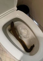 Let Go Slowed to perfection