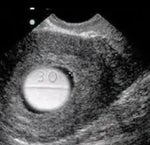 Terrorist Shouts Sound Effect (Call of Duty 4)