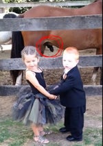 dumperttv op bezoek bij mauri de kutpranker mp3cut