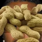 Fistaszki (bass boost) (Pełna wersja - TikTok)