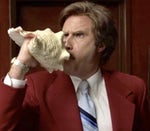 News Team, Assemble!