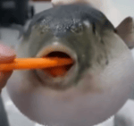 Prepare the defences