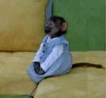 Monkey Circle Meme (Super Mario World ending)